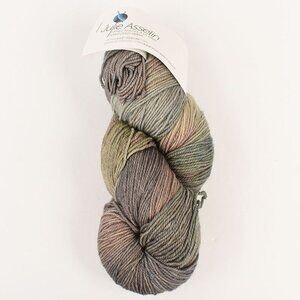 Julie Asselin Leizu Fingering Yarn SW Merino Silk 420 Yds Limited Edition